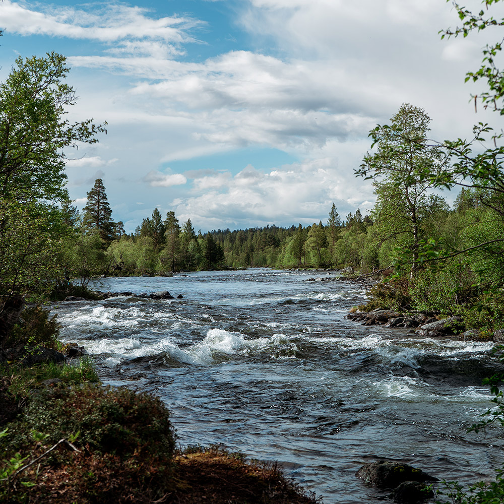Femundsmarka Nationalpark Norwegen