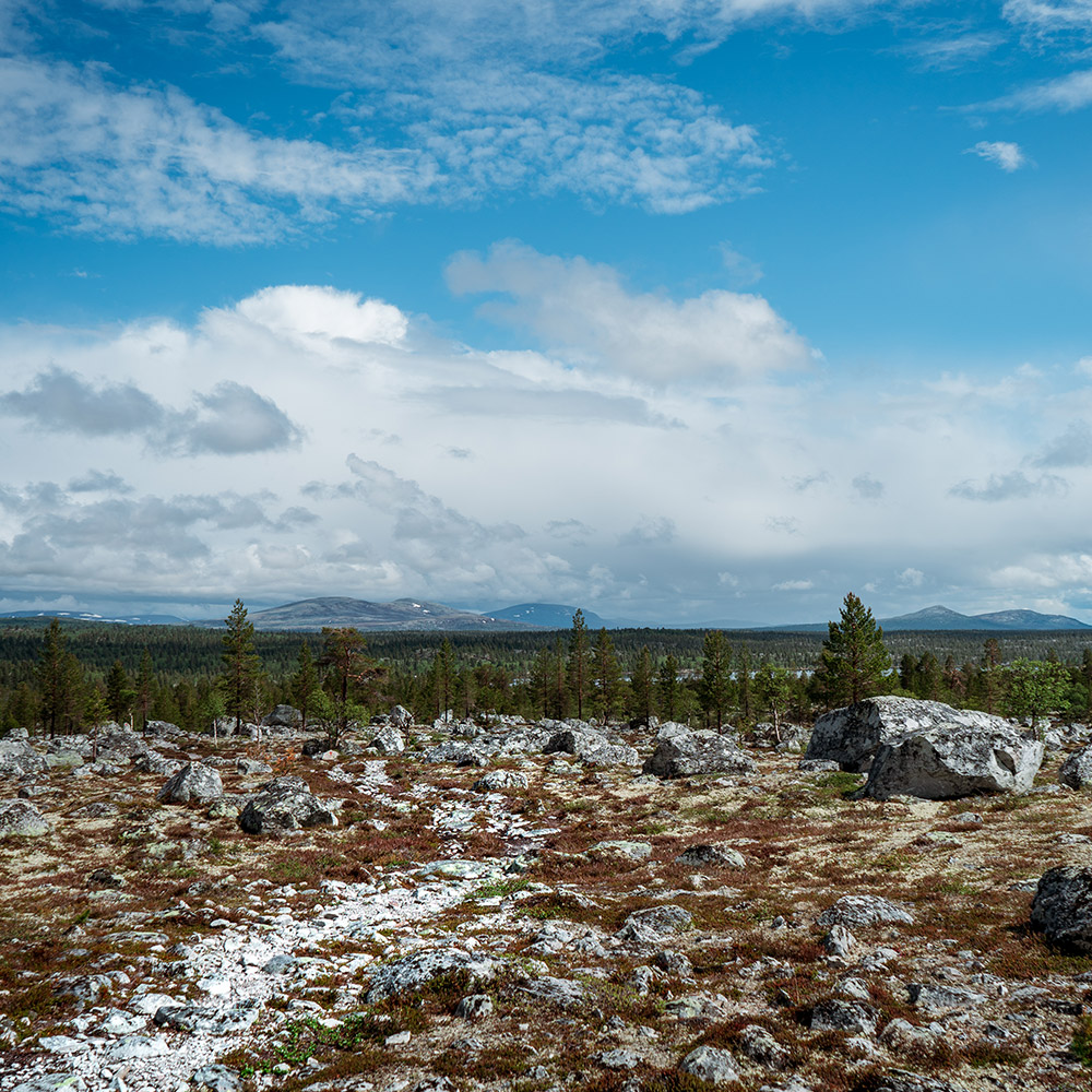 Norwegen Fjällwanderung