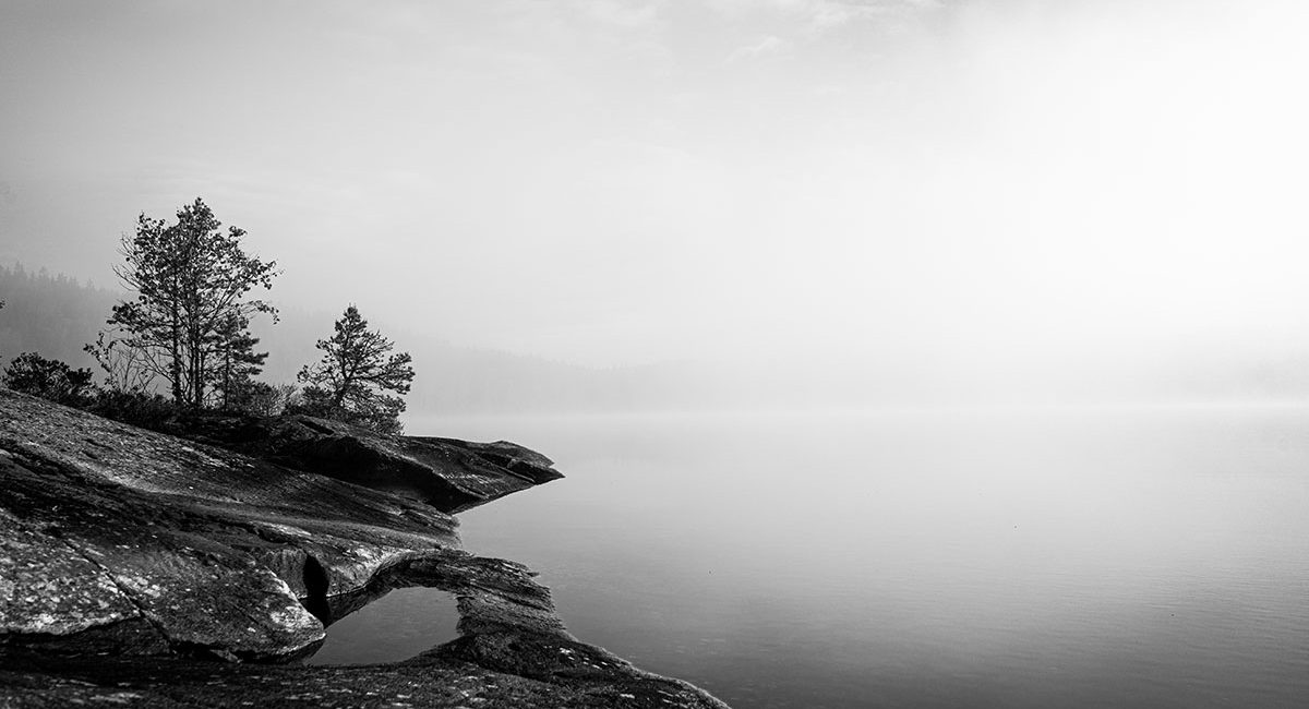 Glaskogen Nationalpark Morgens