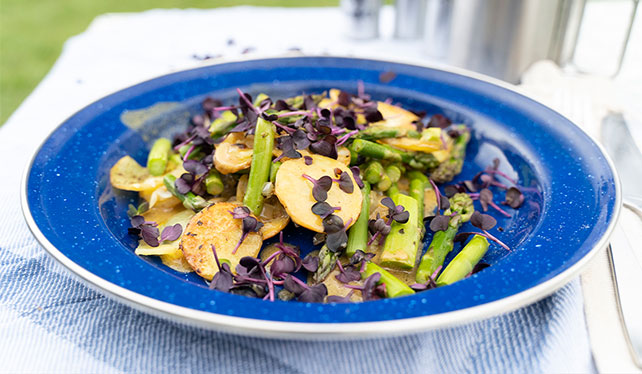blauer teller mit kartoffeln, grünem spargel und radischenkresse